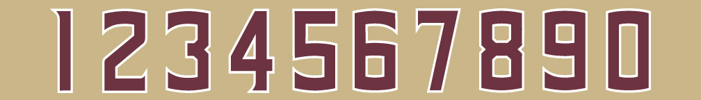 FSU Number System